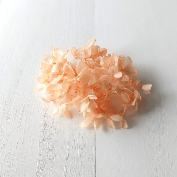 あじさい オレンジ (プリザーブドフラワー ハーバリウム 花材) 1枚目の画像