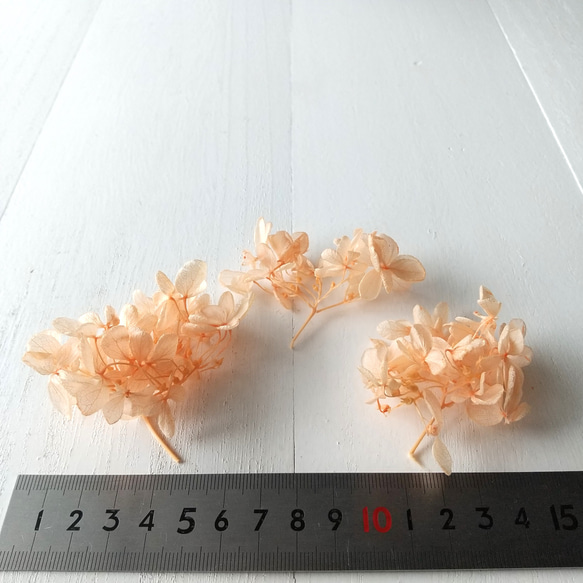 あじさい オレンジ (プリザーブドフラワー ハーバリウム 花材) 4枚目の画像