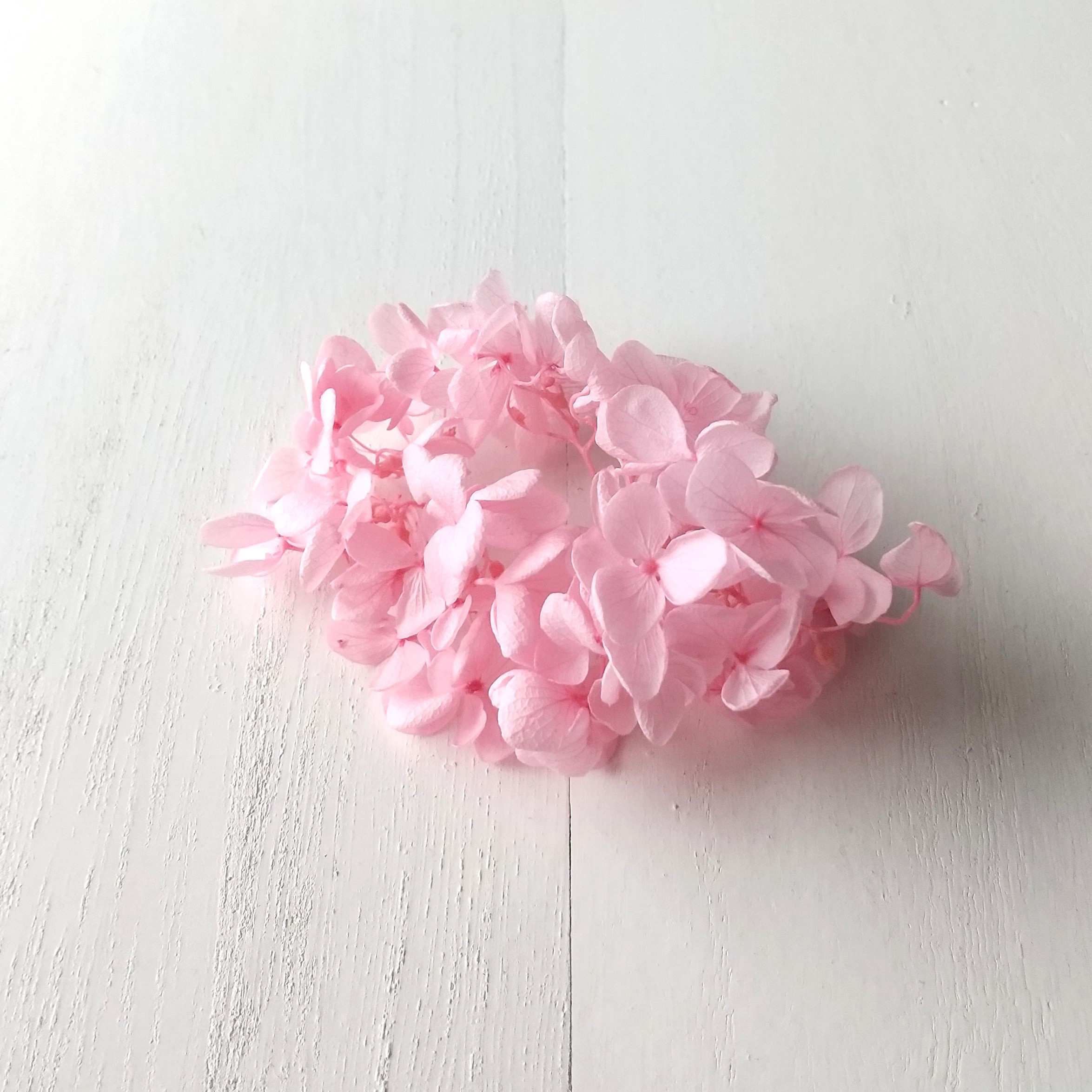 専用ページ花*花様 専用ページ花*花様