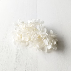 あじさい ホワイト (プリザーブドフラワー ハーバリウム 花材) 1枚目の画像