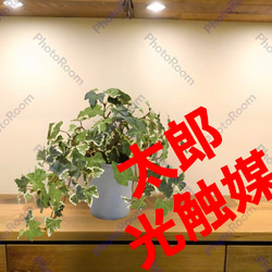 光触媒 人工観葉植物 ウォールグリーン フェイクグリーン