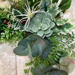 光触媒　人工観葉植物　ウォールグリーン　フェイクグリーン　壁掛け405 6枚目の画像