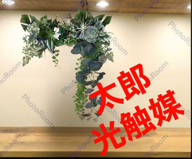 光触媒 人工観葉植物 ウォールグリーン フェイクグリーン 壁掛け
