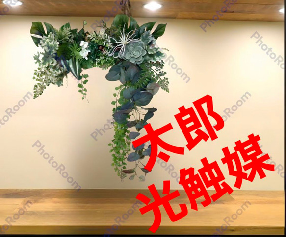 光触媒　人工観葉植物　ウォールグリーン　造花　インテリア　ＢＥＴＴＹCD 光触媒 人工観葉植物 ウォールグリーン フェイクグリーン 壁掛け