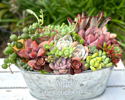 32c7a6d93fb523ac59d460785ffa16