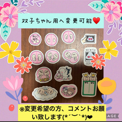 新作♥️①マタニティフレークシールC♥️母子手帳、エコーアルバム、妊娠♥大まかカット発送 2枚目の画像