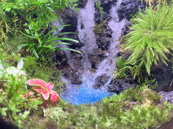 #240  苔アート　苔テラリウム　滝　完成品 4枚目の画像