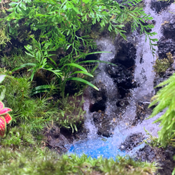 #240  苔アート　苔テラリウム　滝　完成品 3枚目の画像