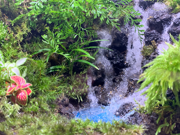 #240  苔アート　苔テラリウム　滝　完成品 3枚目の画像