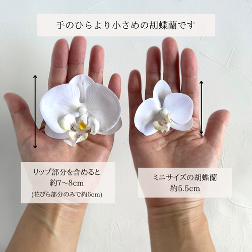 小さい胡蝶蘭の髪飾り 成人式や結婚式に 白 和風 和装 アーティ