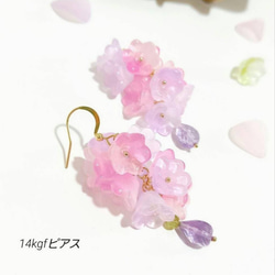 限定1点◆14kgf◆美しい硝子のお花と輝くピンクアメジストのピアス／イヤリング 1枚目の画像