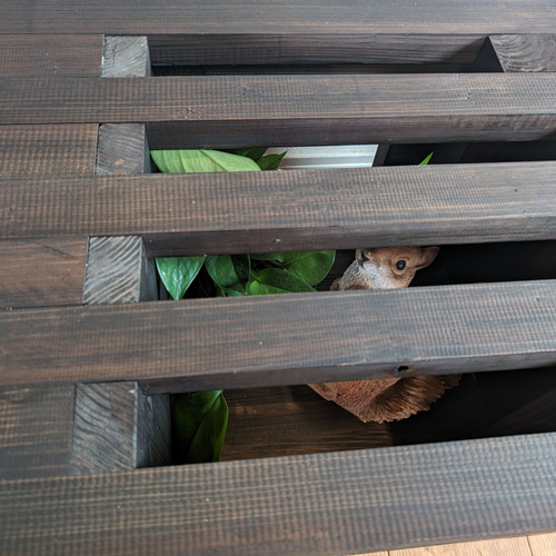 在庫一掃 ペットのお部屋付きテーブル ハウス・小屋 武めだか 通販 