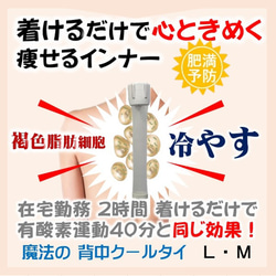 ずぼらでも続けられる ながらダイエット 着けるだけ！ カラオケ ショッピング 通勤時間 運動 犬の散歩 在宅勤務 家事 11枚目の画像