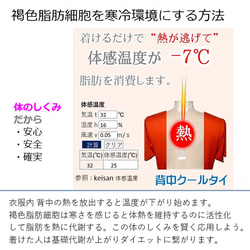 ながらダイエット カラオケ ショッピング 通勤時間 運動 犬の散歩 在宅勤務 家事に着けるだけ 一石二鳥 クールビズにも 9枚目の画像