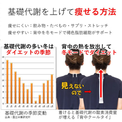 ながらダイエット カラオケ ショッピング 通勤時間 運動 犬の散歩 在宅勤務 家事に着けるだけ 一石二鳥 クールビズにも 2枚目の画像
