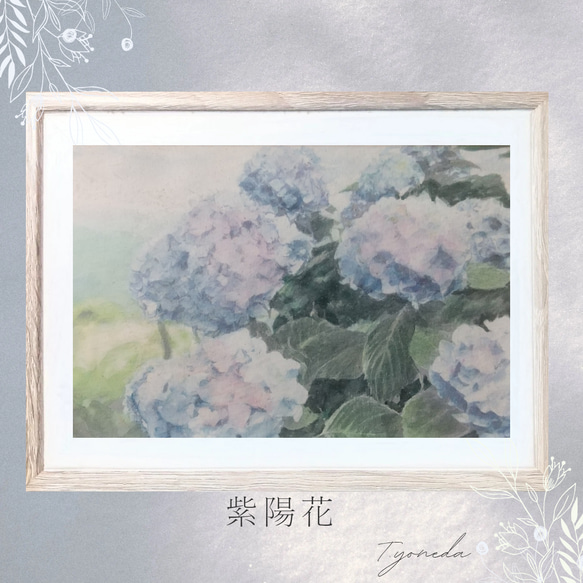 紫陽花(原画) 透明水彩、不透明水彩、コピック、その他 絵画