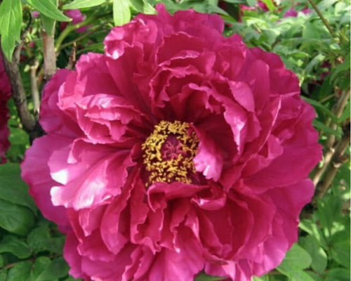 3e7e196d9c05a6b53247cc9c341091