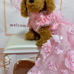 犬猫うさちゃん服　お花満開ピンク色ドレス 7枚目の画像