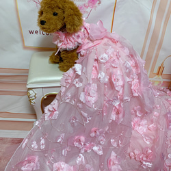 犬猫うさちゃん服　お花満開ピンク色ドレス 18枚目の画像