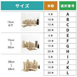  第14張的照片