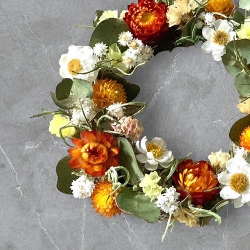 送料無料】ビタミンカラーのミニリース ドライフラワー ミニリース  