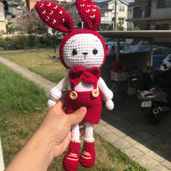 うさぎちゃんあみぐるみ編み誕生日ぬいぐるみキーホルダー