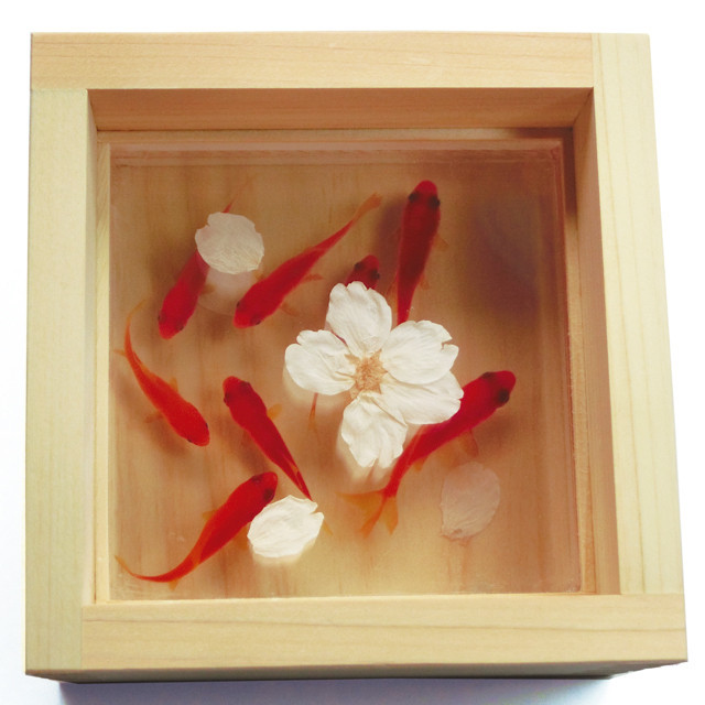 桜ハンドメイド2025 金魚アート 「桜」2 さくら プリザーブドフラワー 還暦 祝い 誕生日  男性 女性 退職
