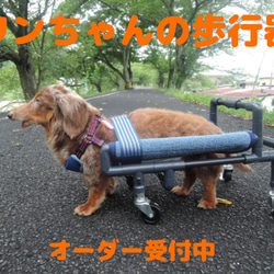 犬の４輪歩行器、中型犬歩行器（中型犬シートタイプ） 2枚目の画像