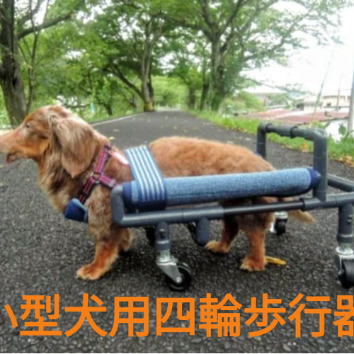 柴犬4輪車椅子!リハビリ!食事補助!犬用車椅子!老犬介護!犬の歩行