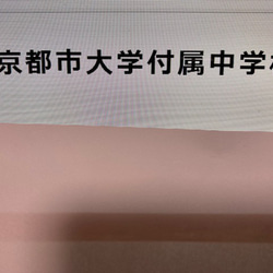 東京都市大学付属中学校　2025年新合格への算数と分析理科プリント 1枚目の画像