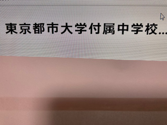 東京都市大学付属中学校　2025年新合格への算数と分析理科プリント 1枚目の画像