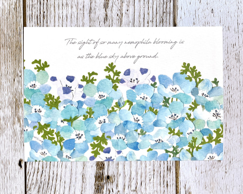 全員のサイン入りポストカードnemophila