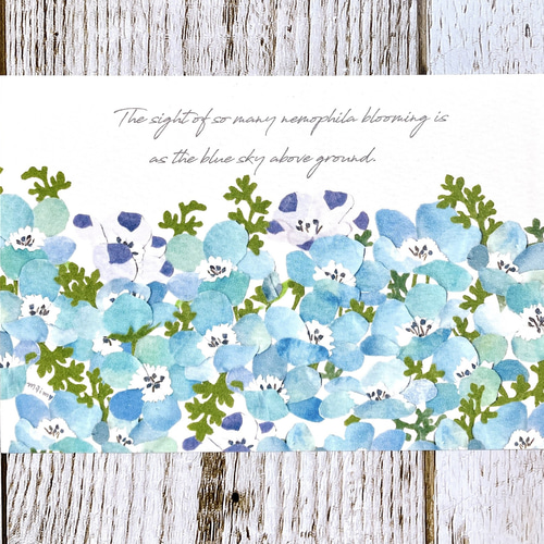 ネモフィラ】ポストカード3枚組 ポストカード maimy-sketchbook 通販