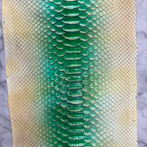 user_169bff02　美品　パイソン　ヘビ革 グリーン ☆お買い得☆パイソン ヘビ革 グリーングラデーション 一枚革_P121