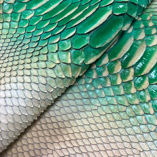 ☆お買い得☆パイソン ヘビ革 グリーングラデーション 一枚革_P121
