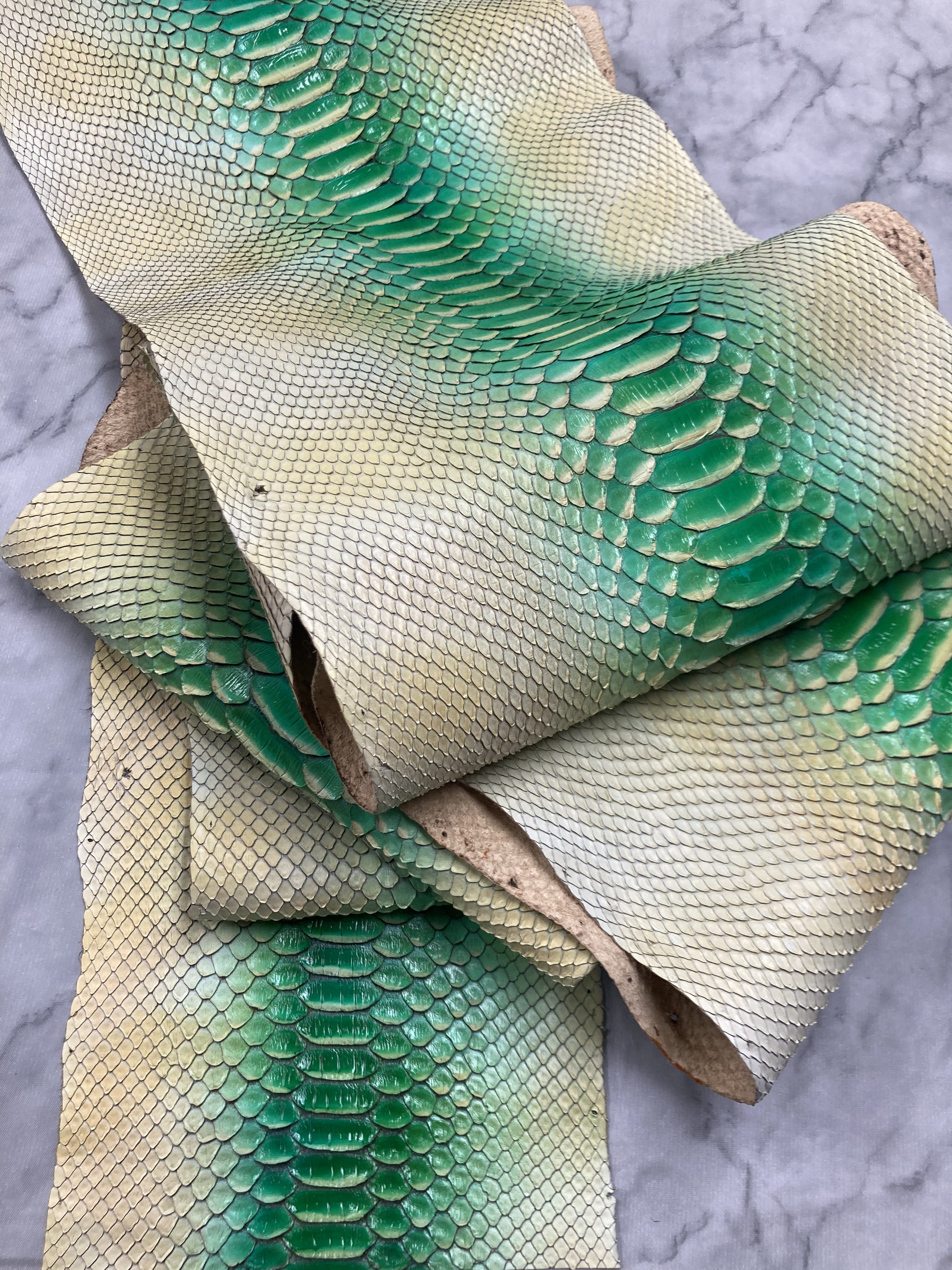★お買い得★パイソン　ヘビ革　グリーングラデーション　一枚革_P121