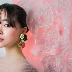 The fruits of imagination "Strawberry" 1枚目の画像
