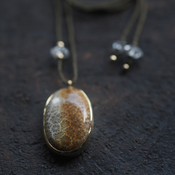 fossil coral brass necklace (yaka) 6枚目の画像