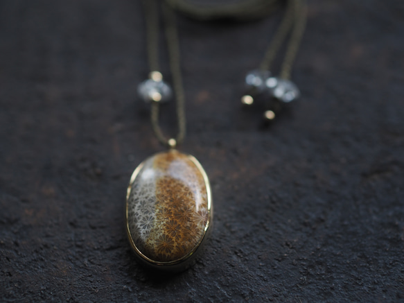 fossil coral brass necklace (yaka) 6枚目の画像