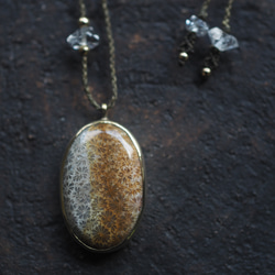 fossil coral brass necklace (yaka) 2枚目の画像