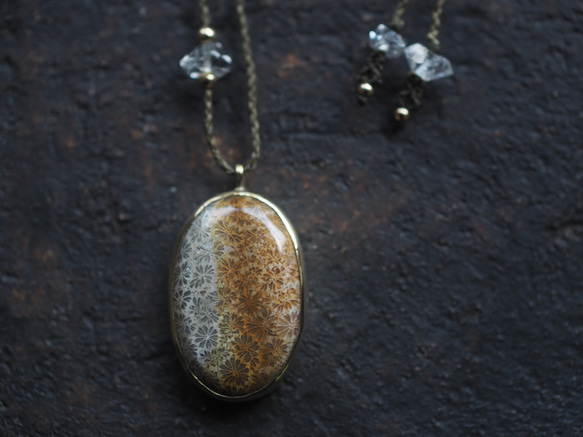 fossil coral brass necklace (yaka) 2枚目の画像