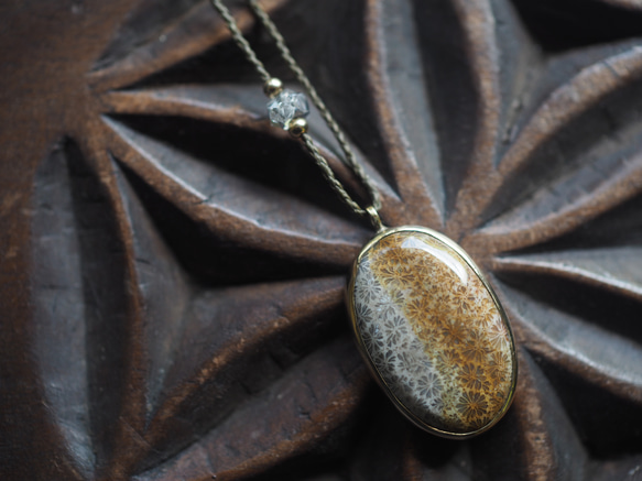 fossil coral brass necklace (yaka) 1枚目の画像
