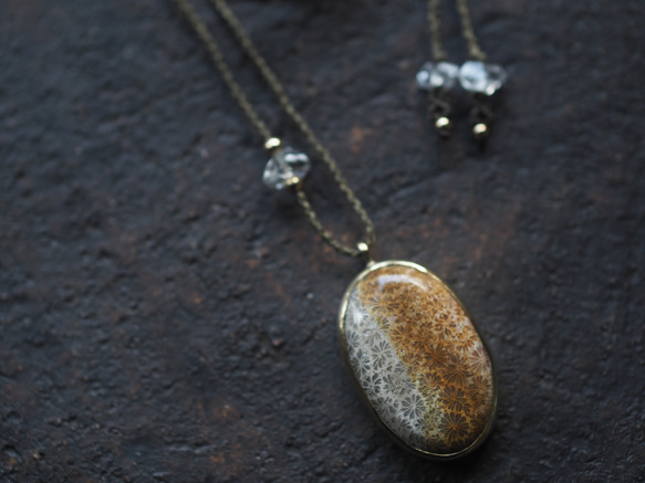 fossil coral brass necklace (yaka) 4枚目の画像