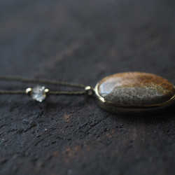 fossil coral brass necklace (yaka) 11枚目の画像