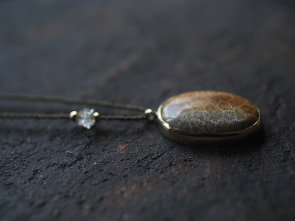 fossil coral brass necklace (yaka) 11枚目の画像