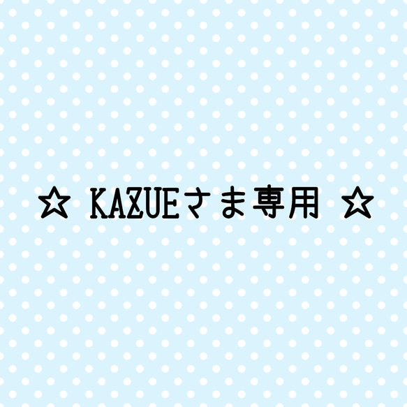 ☆ KAZUE さま専用☆ 1枚目の画像