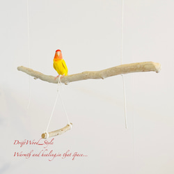 流木インテリア  シンプルな天然流木の小鳥の止まり木 吊り下げタイプ インコ 鳥 ブランコ 自然木 No.28 2枚目の画像