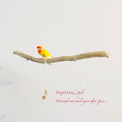 流木インテリア  シンプルな天然流木の小鳥の止まり木 吊り下げタイプ インコ 鳥 ブランコ 自然木 No.28 5枚目の画像