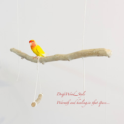 流木インテリア  シンプルな天然流木の小鳥の止まり木 吊り下げタイプ インコ 鳥 ブランコ 自然木 No.28 4枚目の画像