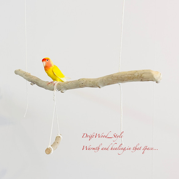 流木インテリア  シンプルな天然流木の小鳥の止まり木 吊り下げタイプ インコ 鳥 ブランコ 自然木 No.28 4枚目の画像